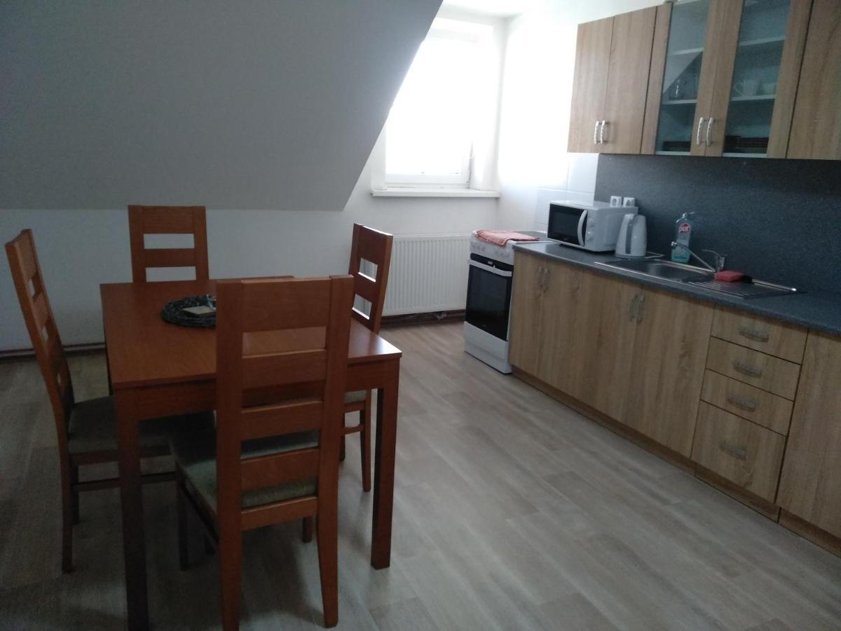 Apartmany Litvinov Centrum Kültér fotó