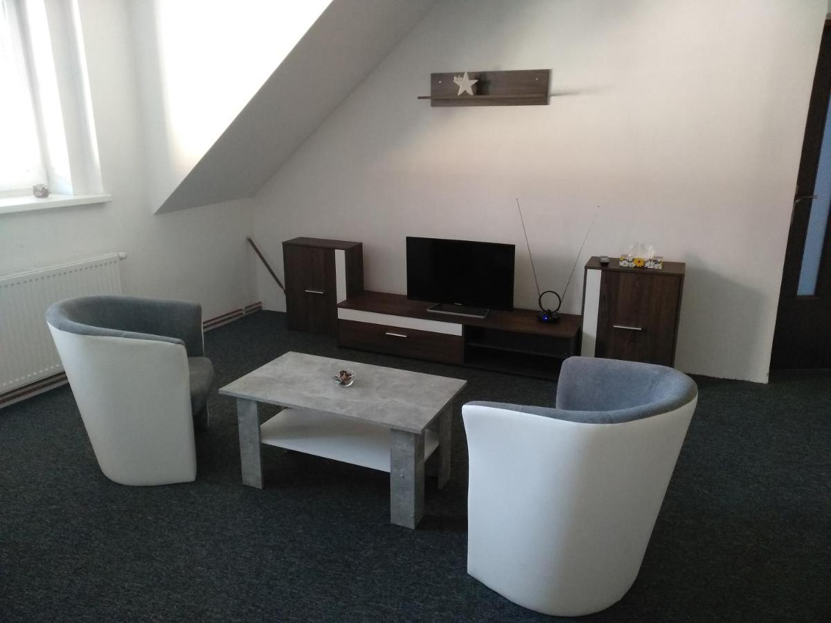 Apartmany Litvinov Centrum Kültér fotó